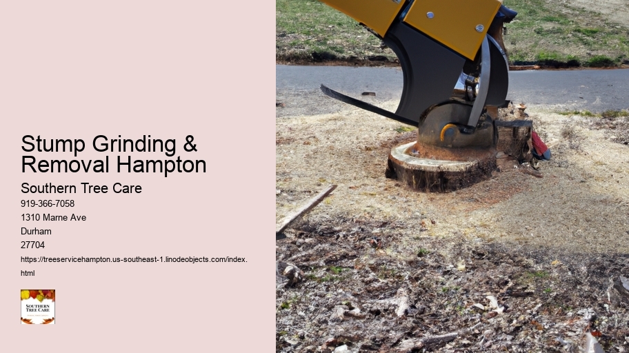 Stump Grinding & Removal Hampton